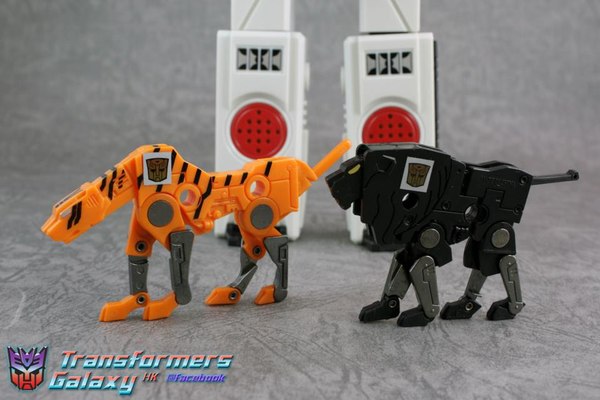 Takara Tomy Transformers G1 Encore 22  (24 of 41)